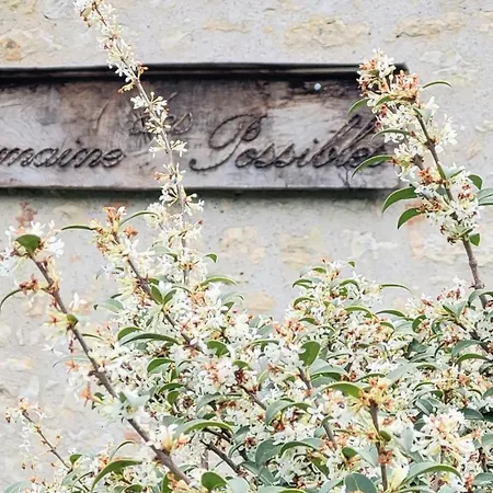 Domaine Des Possibles - Equi Montayral